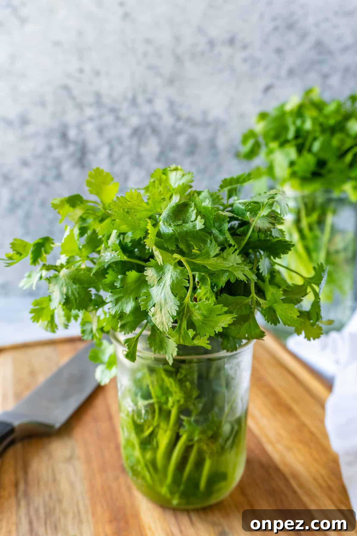 How to Chop Cilantro and Keep It Fresh 11 cilantro in mason jar with water