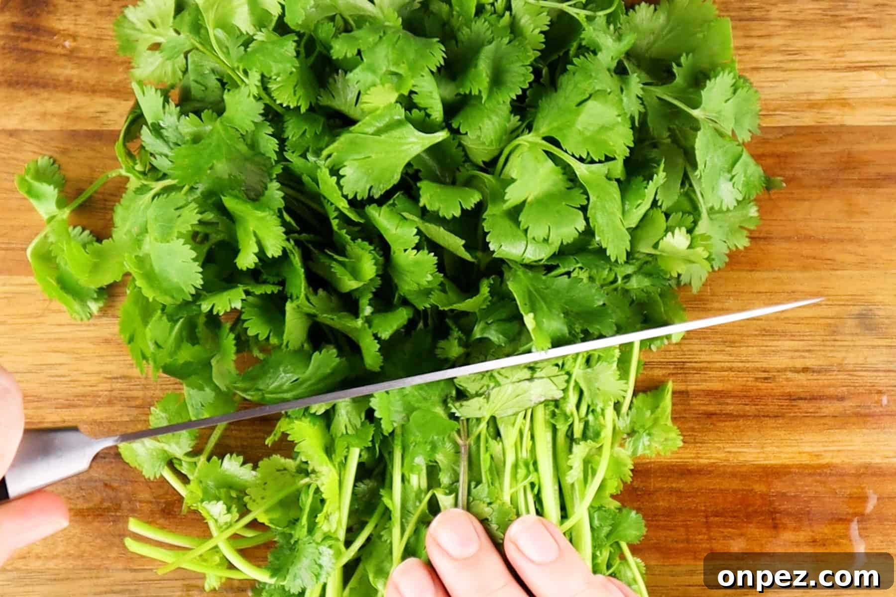 How to Chop Cilantro and Keep It Fresh 5 cutting off cilantro stems