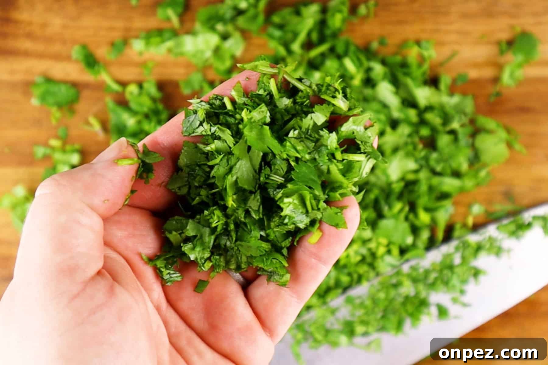 How to Chop Cilantro and Keep It Fresh 8 cilantro cuttings in hand