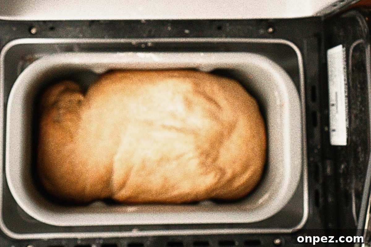 Honey Wheat Bread Recipe for Bread Machines 5 finished bread loaf in bread machine.
