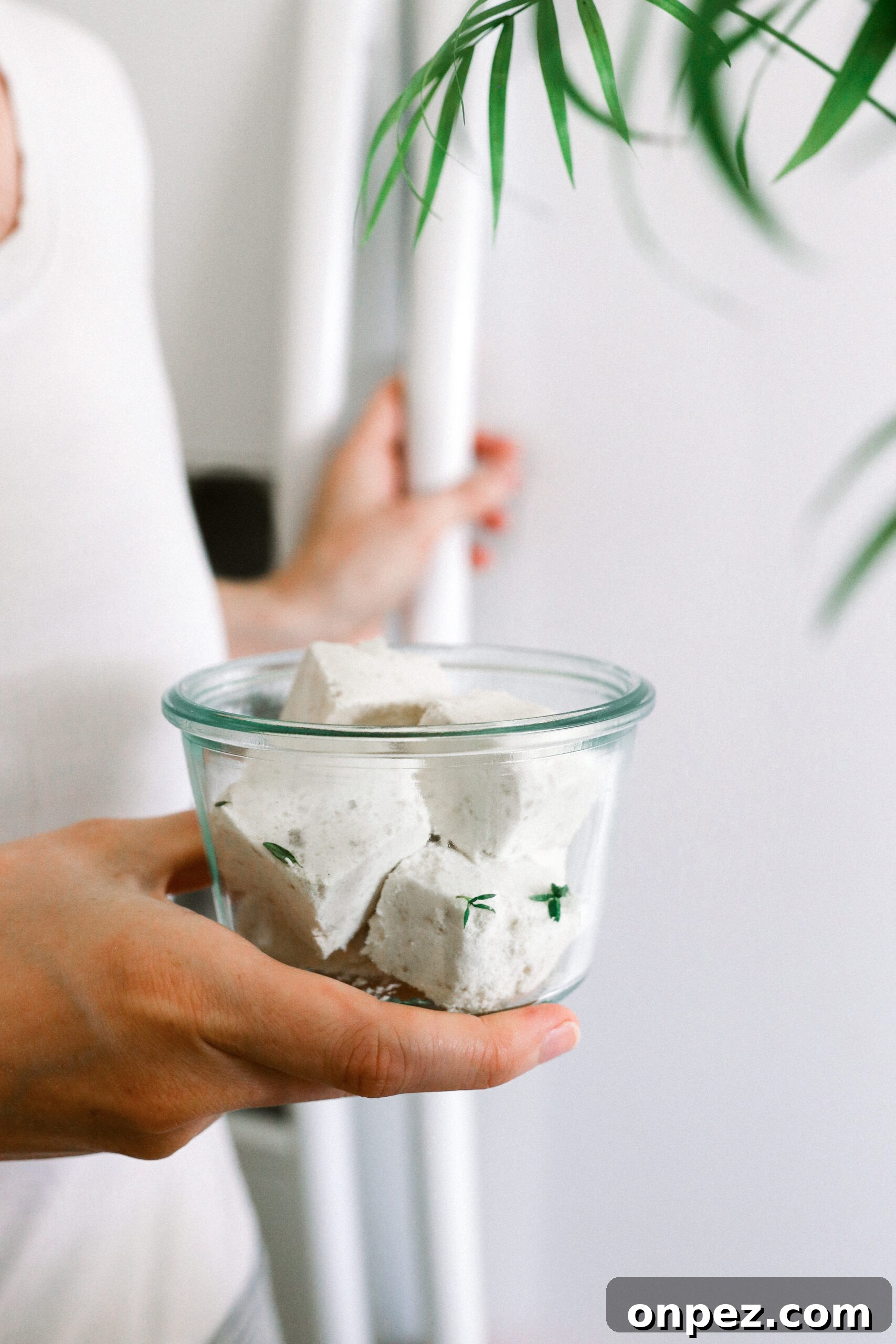 DIY Refrigerator Deodorizer Cubes