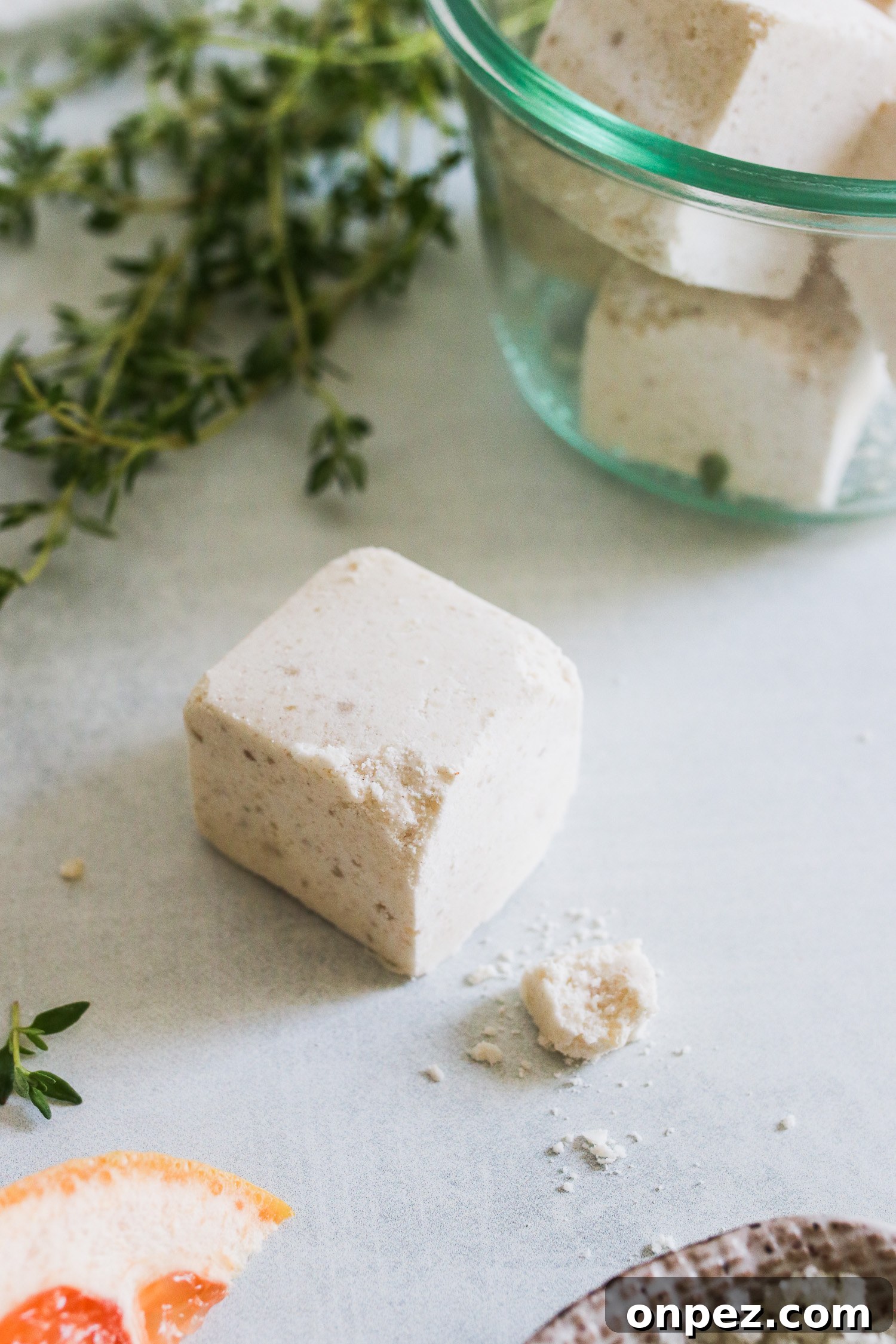 DIY Refrigerator Deodorizer Cubes